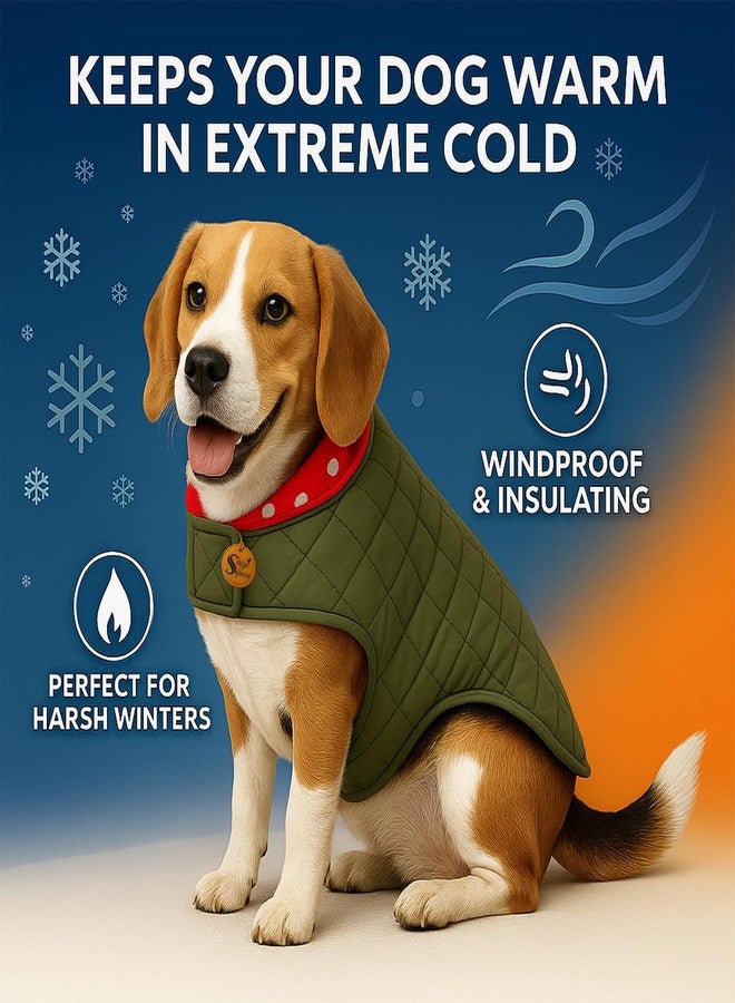 Sage Square Dual-Sided Polka Dot Dog Jacket - Protective Cold-Weather Gear for Pets, Lightweight, Cushioned, Designed for Warmth & Comfort Indoors or Outside (Polka Red, M - 16 Inch) - Image 5